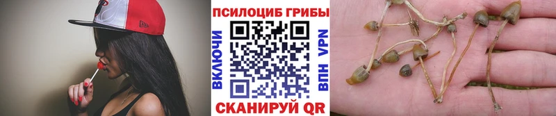мега ТОР Новочеркасск Псилоцибиновые грибы MAGIC MUSHROOMS